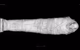 CT Scans of Field Museum Mummies Offers New Insight