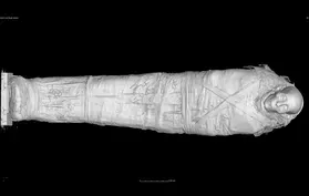 CT Scans of Field Museum Mummies Offers New Insight