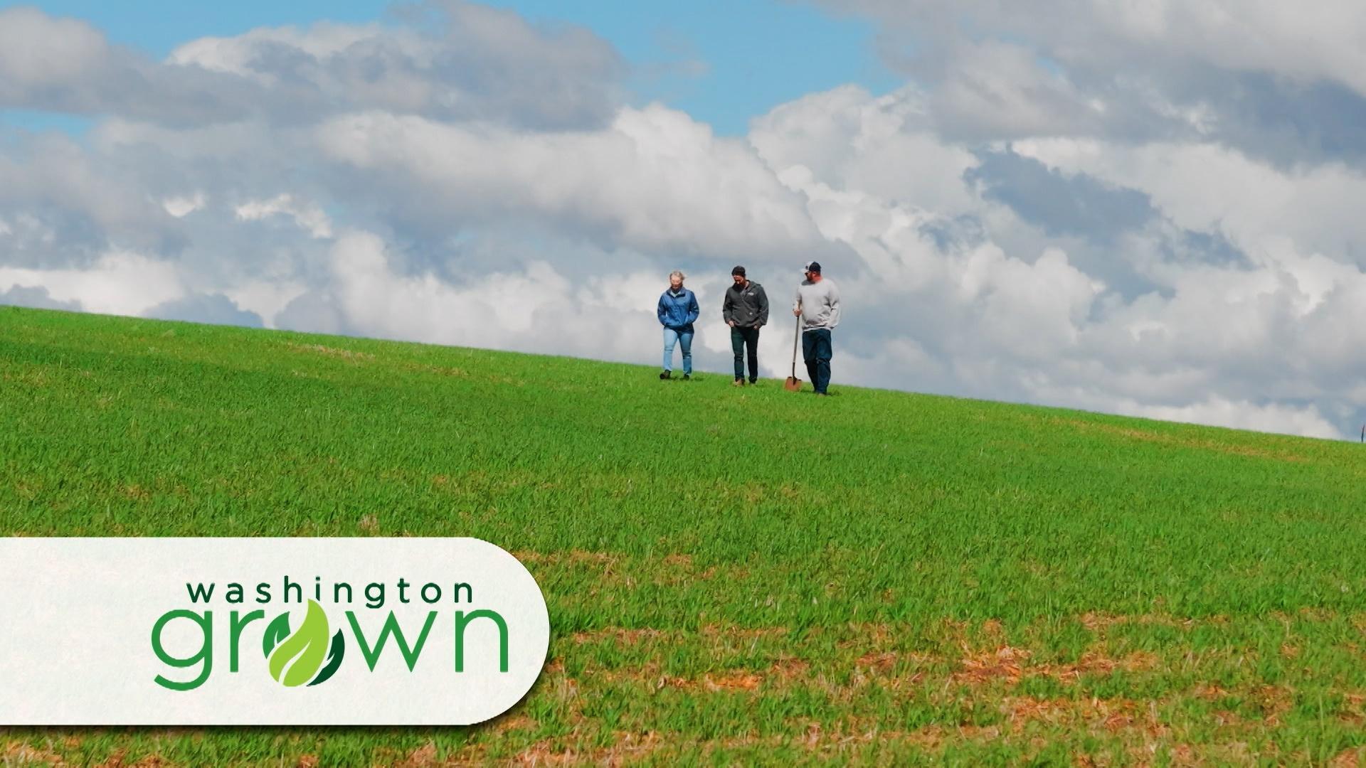 Our team visits the vibrant green fields and small town charm of this region.