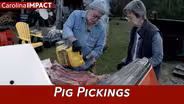 Pig Pickings