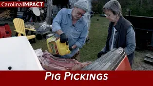 Pig Pickings