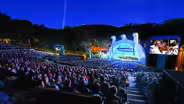 Musicals and the Movies