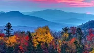 Unlocking the Mysteries of Autumn Leaves