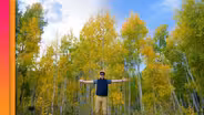 Inside the Largest Living Thing On Earth
