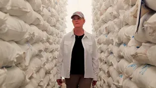 UN food chief Cindy McCain on the need for more aid