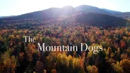 Mountain Dogs