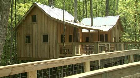 Video thumbnail: NC Weekend Treehouse Camping on the Cashie River