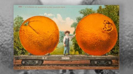 Video thumbnail: LA Foodways Ch 2: King Citrus and the Selling of the California Dream