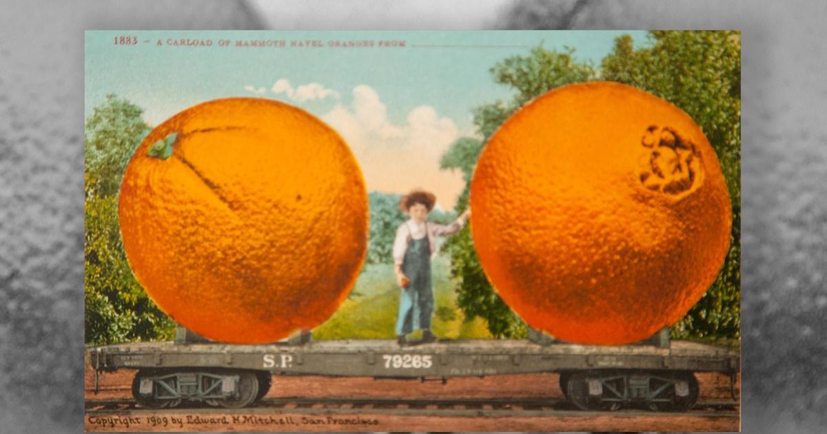 La foodways | ch 2: king citrus and the selling of the california dream