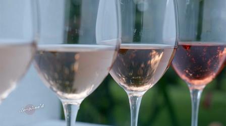 Video thumbnail: Un-Wine'd Cana Vineyards of Middleburg