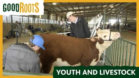 Video thumbnail: Arkansas Week Good Roots: Youth and Livestock