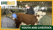 Good Roots: Youth and Livestock