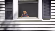 Bear Hunt