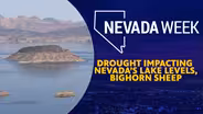 Drought impacting Nevada’s lake levels, bighorn sheep