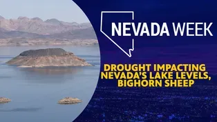 Drought impacting Nevada’s lake levels, bighorn sheep