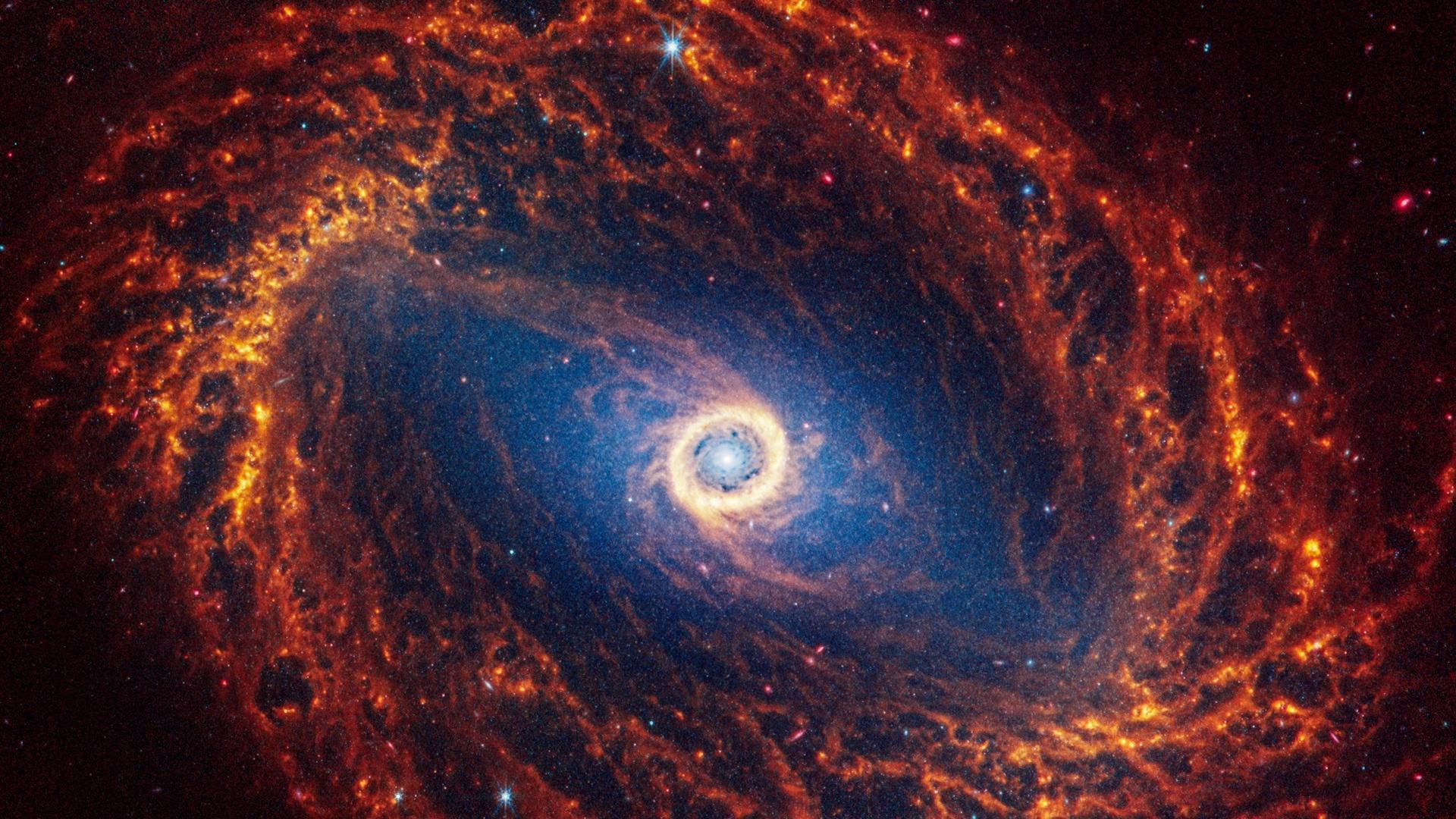 A spiral galaxy 