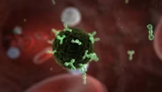 Understanding Hepatitis