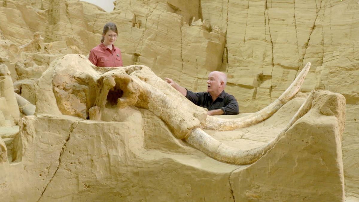 A Mammoth Surprise Prehistoric Road Trip ALL ARTS