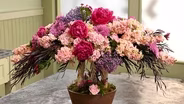 Fleur de la Vie
