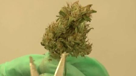 Video thumbnail: NJ Spotlight News Gov. Murphy proposes fines for underage marijuana use