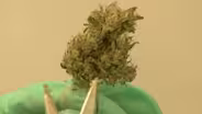Gov. Murphy proposes fines for underage marijuana use
