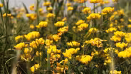 Hubbard Prairie and Meier Wildlife Refuge