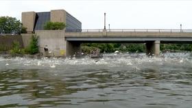 Video thumbnail: Great Lakes Now Asian Carp and the Great Lakes