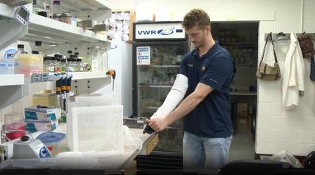 Video thumbnail: Spotlight on Agriculture Mosquito-Proof Clothing / Vertical Agriculture