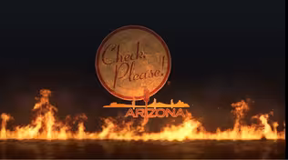 Check, Please! Arizona returns