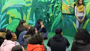 ARTS AS A RIGHT