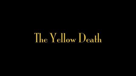 Video thumbnail: The Best Times The Yellow Death