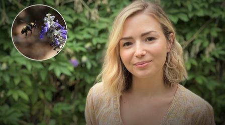 Video thumbnail: Central Texas Gardener Planting Pollinator Diversity