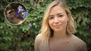Planting Pollinator Diversity