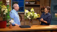 Hybridizing Hydrangea