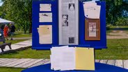 Appraisal: 1973 - 1983 E.B. White Archive