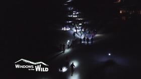 Video thumbnail: Windows to the Wild Friday Night Lights (Preview)
