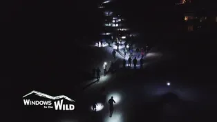 Friday Night Lights (Preview)