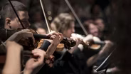 The Music of Stillness