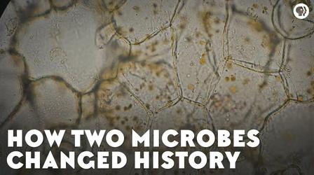 Video thumbnail: Eons How Two Microbes Changed History