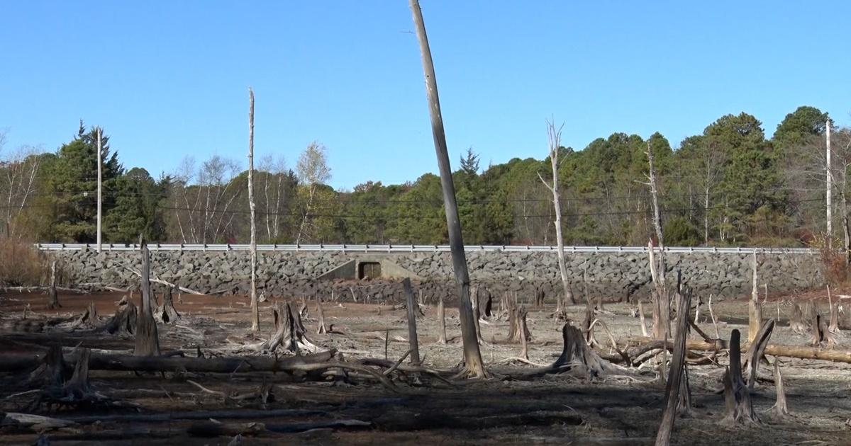 NJ Spotlight News | NJ issues drought warning as no letup in historic dry spell | Season 2024
