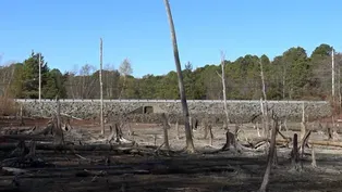 NJ issues drought warning as no letup in historic dry spell