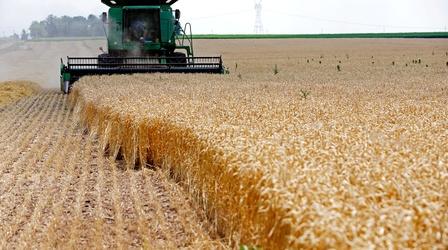 Video thumbnail: PBS NewsHour Lawmakers to Trump: Farmers and ranchers want trade, not aid