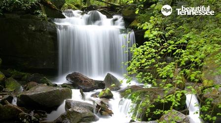 Video thumbnail: Beautiful Tennessee Beautiful Tennessee: Our Scenic Waterways