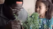 Grow an Herb Garden