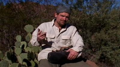 Arizona Desert Part 1