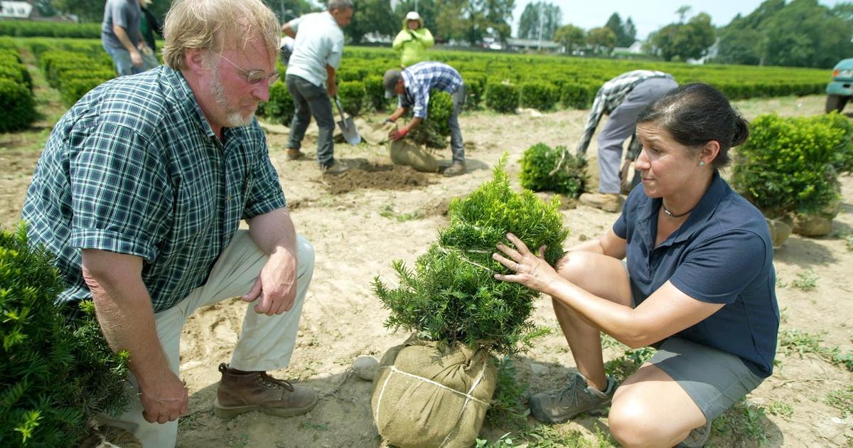 Ask This Old House E19 Harvesting Shrubs, Box Joint Jig Ask This