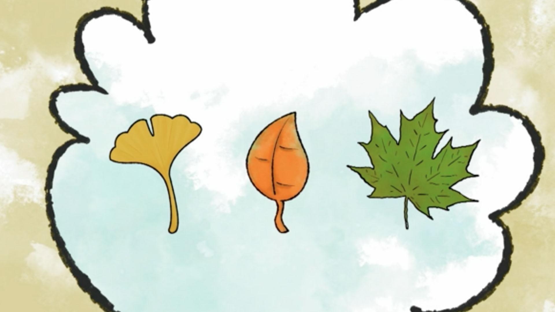 That's So Interesting!: Why Do Leaves Change Colors?