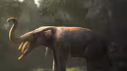 Empire of Elephants