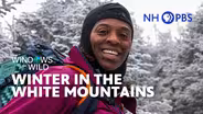 Winter In The White Mountains