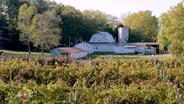 Ingleside Vineyards